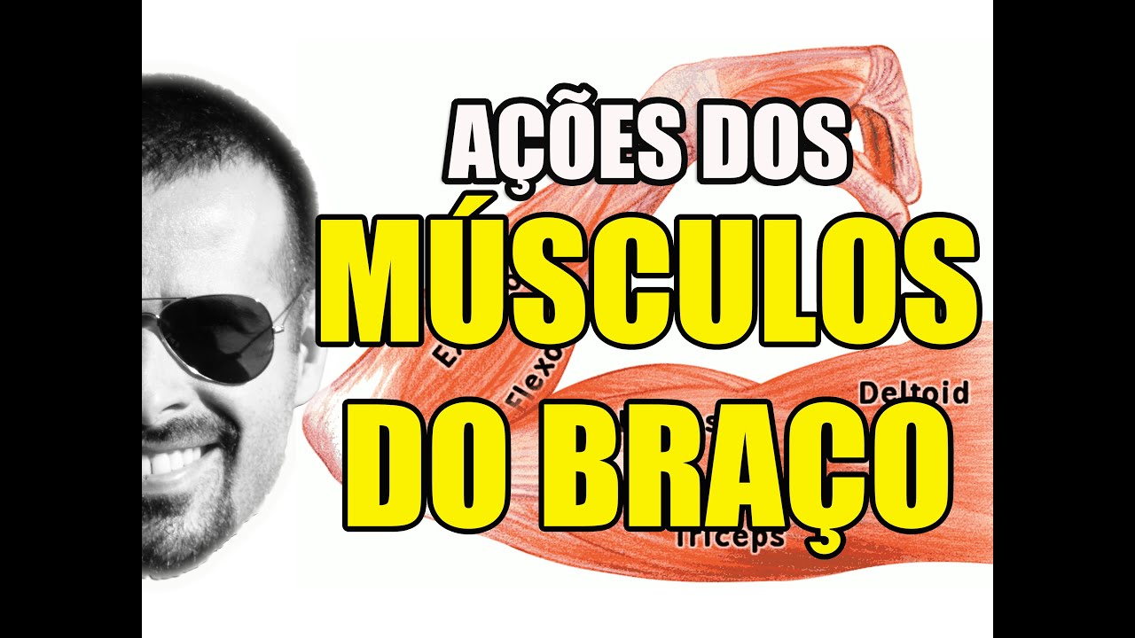 Vídeo Aula 108 - Anatomia Humana - Sistema Muscular: Ações dos Músculos do Braço