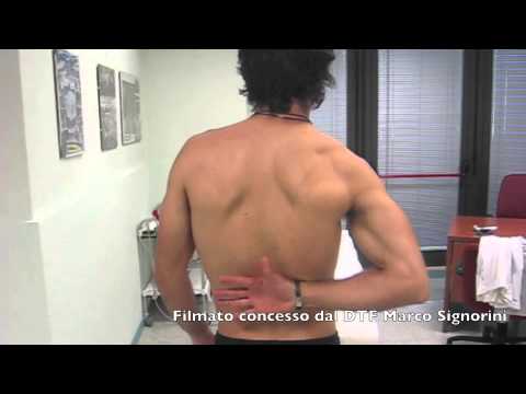 Limpatto sulle articolazioni Un freddo mal di spalle e collo