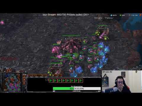 PiG Goes Full Cheeky Bastard - Dance spam ICYFAR!