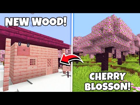 Minecraft Just Added a New BIOME!(Cherry Blossoms)
