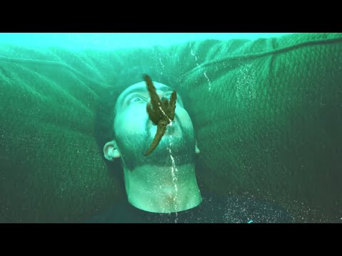 James Joyce the Squatch - "Location Undisclosed" prod by blckwndr