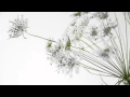Kim Min Jong - You Won't Know (김민종 - 넌 모 ...