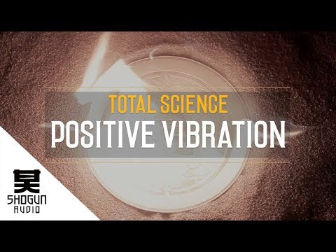 Total Science - Positive Vibration - Way Of The Warrior 2