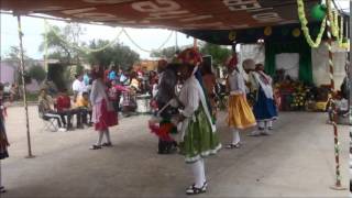 preview picture of video 'Danza de Santo Niño, Coah. Ale y las chavalillas del Taller. Son: El Endiablado'