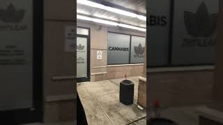 Zen leaf Cannabis Sonny G and G6 and lozenges