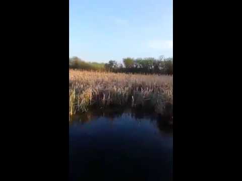 Lincoln Marsh Racket