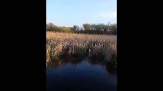 Lincoln Marsh Racket