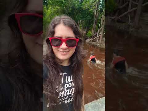 Batera Dando Um Passeio No Rio Preto Da Eva #batera #musica
