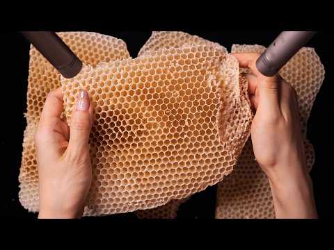 ASMR of Beeswax Honeycombs (No Talking)