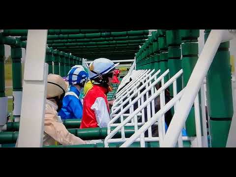 Saffie Osborne Brilliant young Jockey lucky escape at Newmarket on Peerless