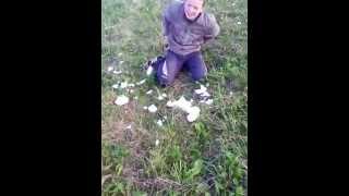 preview picture of video 'Гигантские грибы, драка, кровь, жесть...'