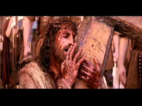 Com Amor E Dor - Angélica Sansone