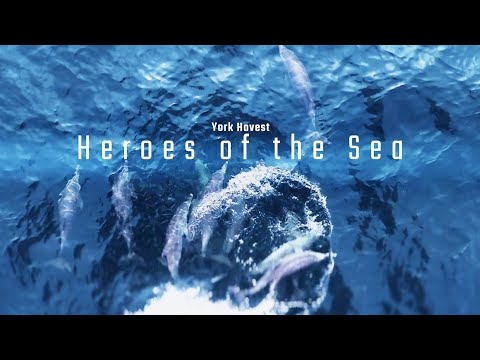 Trailer-Vorschau: Heroes of the Sea