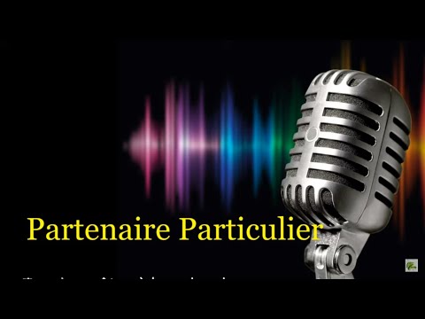 Partenaire Particulier - Partenaire Particulier  (Paroles)