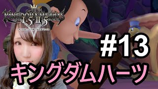 キングダムダムハーツ配信-13-