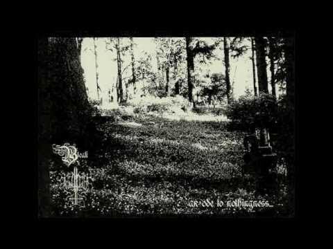 Twilight Falls - Lore From an Ancient Forest (Demo Preview)