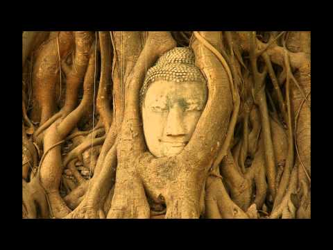 František Koukolík - Mozek, spiritualita a my 04/10