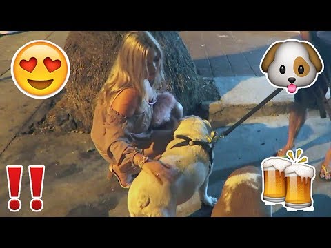 DOGS AND ALCOHOL 😱🐶 Vlog 408 Video