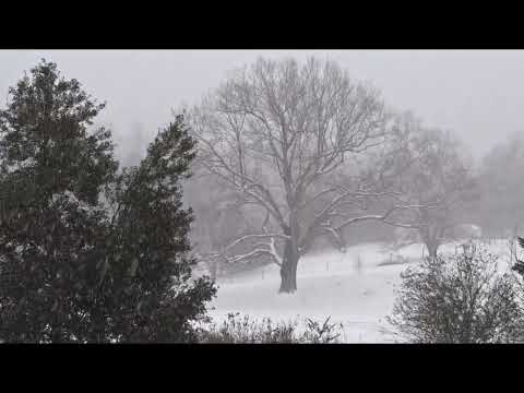 Snow turning into sleet, 2nd storm of 2022 in Charlottesville, Virginia