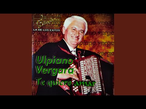 Te Fuiste Sin Avisar