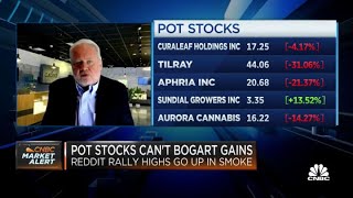 Reddit rally behind pot stocks: Curaleaf's Boris Jordan