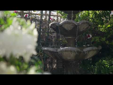 Cuvier Club by Wedgewood Weddings #2