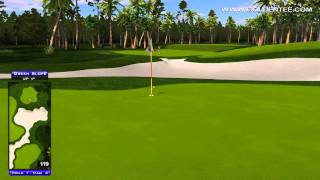 preview picture of video 'Golden Tee Great Shot on Pelican Grove!'