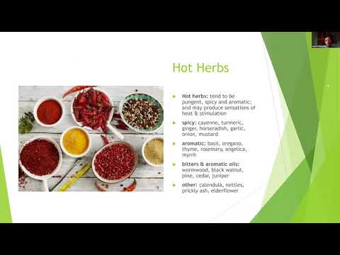 Botanical Medicine | Herbal Tincturing & Plant Energetics Full Lecture with Dr. Bogdan Makartchuk