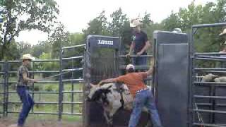 2yr old bucking bull, 96 Ferguson bucking bulls