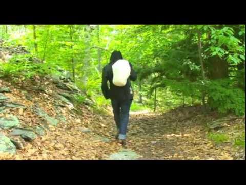 DILLGIN TRAVELLING! OFFICIAL HD MUSIC VIDEO