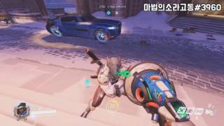 썸네일 이미지