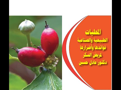 , title : 'المحليات الطبيعية والصناعية فوائدها وأضرارها لمرضى السكر ونظام الكيتو للتخسيس. دكتور/عادل حسين'