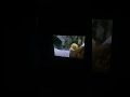 Sesame Street Episode 3095 Ending