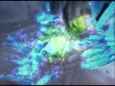 Byron Metcalf -  Wachuma's Wave