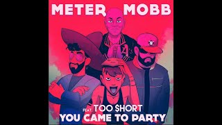 Too $hort and Meter Mobb   You Came to Party (karaoke w background vocals)