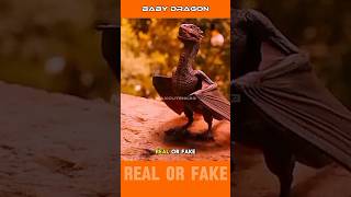 Download lagu PENAMPAKAN ANAK NAGA REAL OR FAKE #faktaunik #dragon #naga #penampakan #duniahewan #animals #shorts mp3 Download lagu PENAMPAKAN ANAK NAGA REAL OR FAKE #faktaunik #dragon #naga #penampakan #duniahewan #animals #shorts mp3