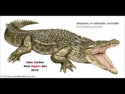 John Sardas - Sick Nights Set 2014