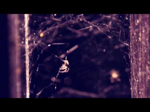 Video thumbnail for Vs. Dieter Griffin - [RR 16tel-Finale - VBT 2013]