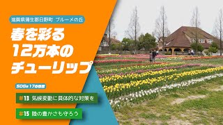 【野洲のおっさんSDGsニュース】春を彩る12万本のチューリップ（蒲生郡日野町　ブルーメの丘）