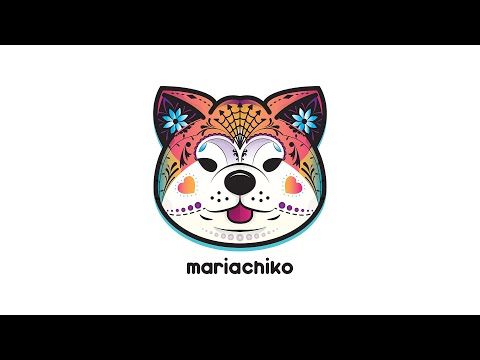 Mariachiko Live 360: Mariachi Set