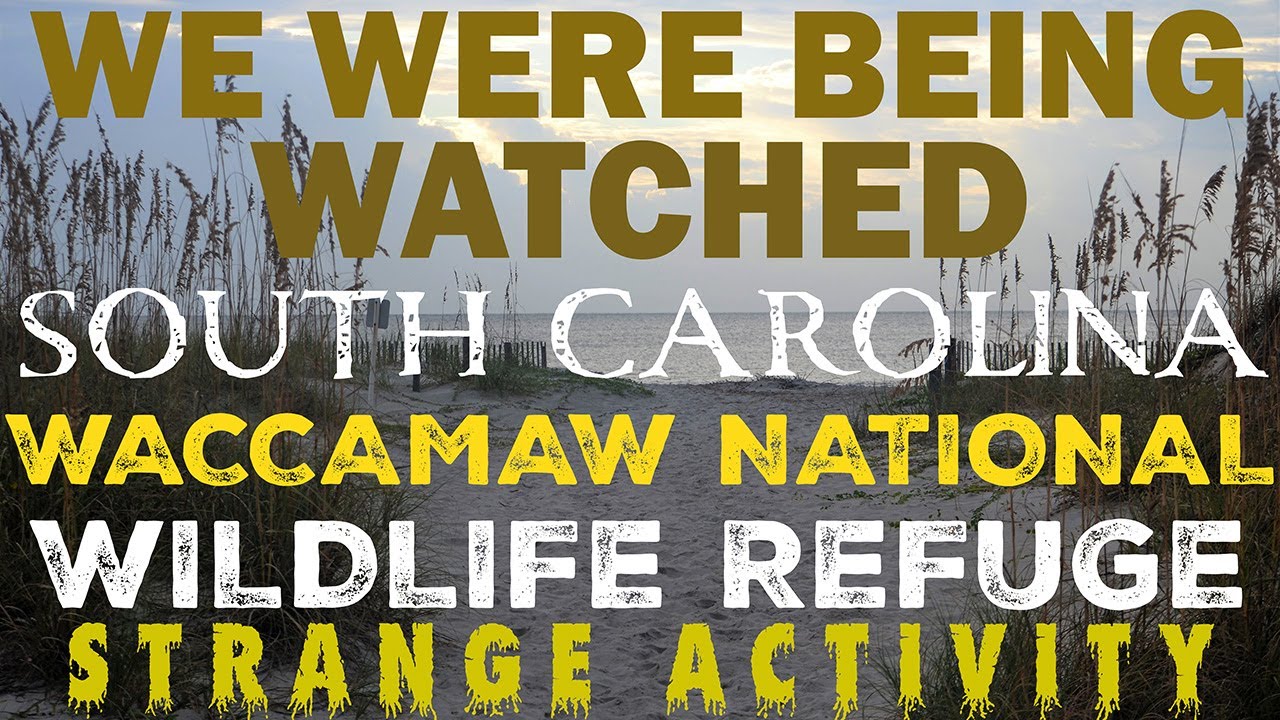 STRANGE ACTIVITY IN SOUTH CAROLINA (THE WACCAMAW RIVER) BIGFOOT NEAR MYRTLE BEACH