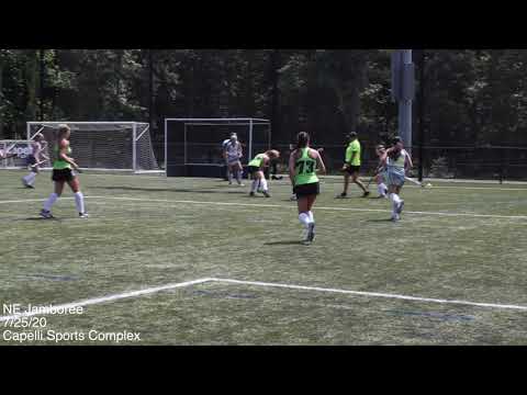 McKenna Laman - 2022 GK - Summer 2020 Omega FH Club