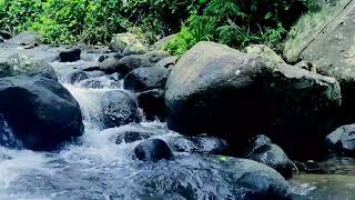 Top Sleep Expert Reveals Best White Noise Techniques for Relaxation