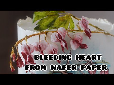 BLEEDING HEART FROM WAFER PAPER.Make wafer paper flowers quickly and easily with me!