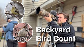 Seeing Awesome Birds During the 2026 Backyard Bird Count!