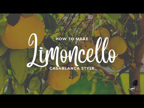 How to make Limoncello (60 second recipe video)
