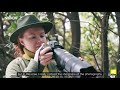 Video Review of the Nikon AF-S NIKKOR 120-300mm F/2.8E FL ED SR VR Lens