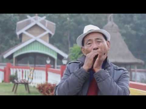 When we all get to heaven (Harmonica Instrumental)