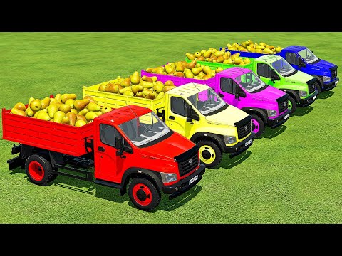 TRANSPORTING PEARS & SLURRY SPREADING WITH DEUTZ MINI TRACTORS! - Farming Simulator 22