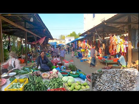 Phnom penh walking tour Amazing Cambodia Wet Market Scene & People Activities - Vendor Fish Seafood